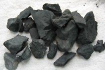 Coal