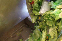 Vegetables in the plastic packaging