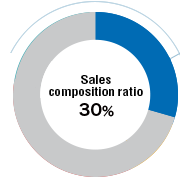 Sales composition ratio 30%