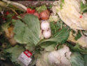System for Making Residue Food Fodder