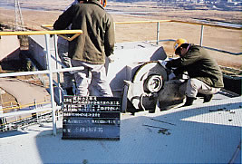 Inspection of wear (roller chain and sprockets)