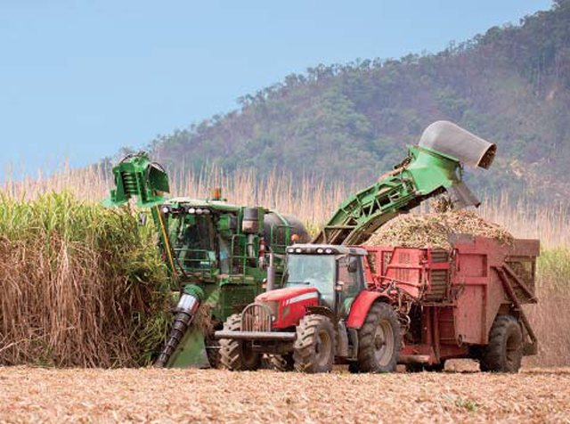 CANE HARVESTER CHAINS pic.
