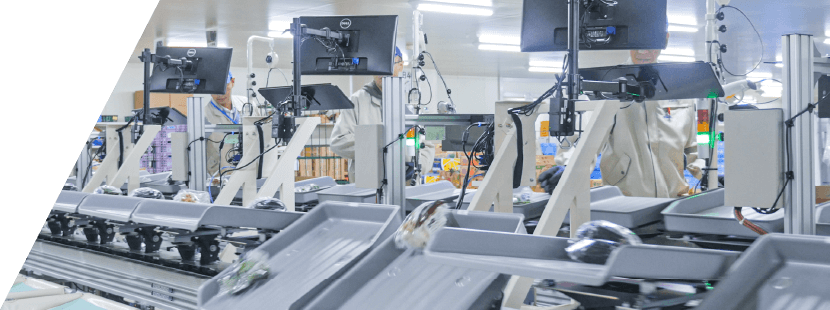 Materials Handling Operations 