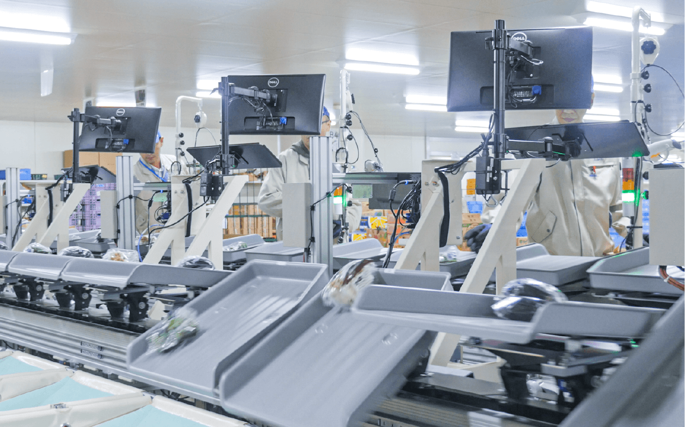 Materials Handling Operations