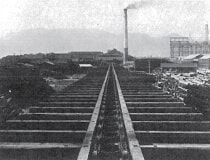 Chains for conveying raw wood for paper mills
