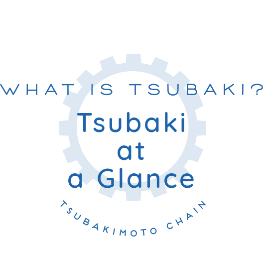 WHAT IS TSUBAKI? // Tsubaki at a Glance // TSUBAKIMOTO CHAIN