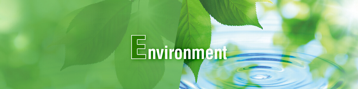 Environment (E) 