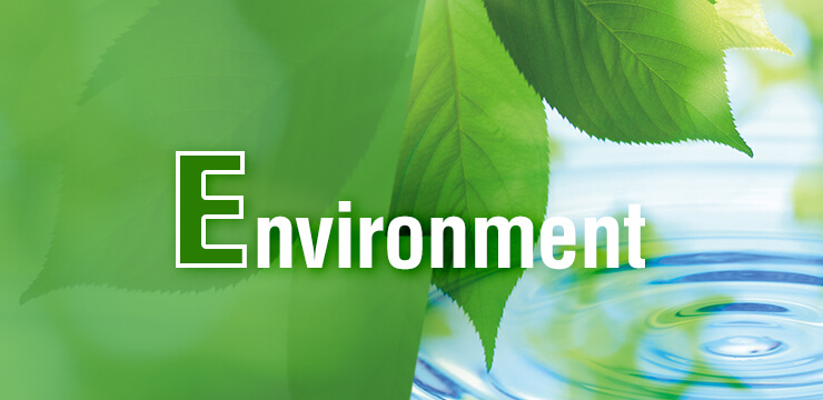 Environment (E)