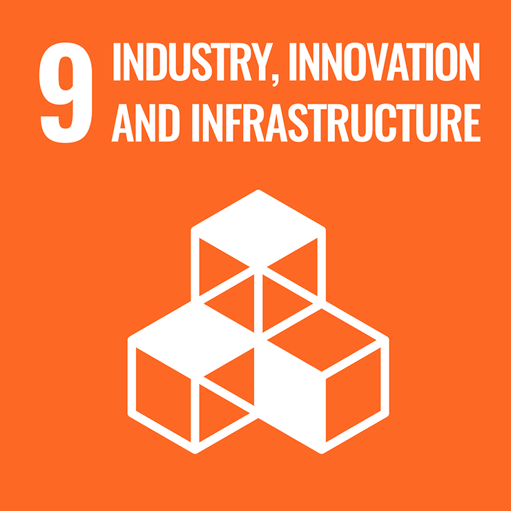 INDUSTRY, INNOVATION AND INFRASTRUCTURE 