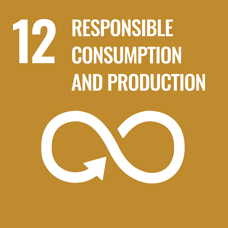RESPONSIBLE CONSUMPTION AND PRODUCTION 